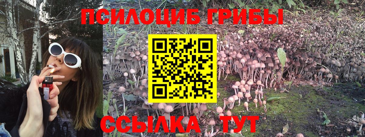Галлюциногенные грибы прущие грибы Ефремов