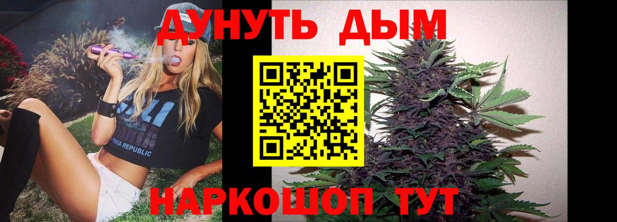 Ефремов  Конопля сатива  Каннабис план  Марихуана Bruce Banner  Вход с VPN 